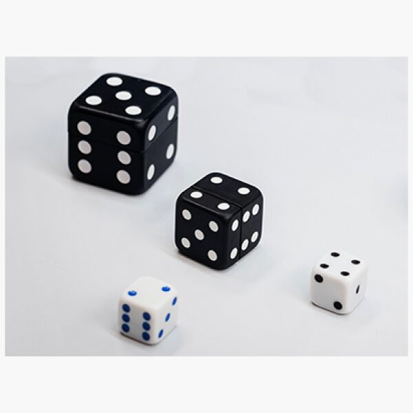 Dice 2X3